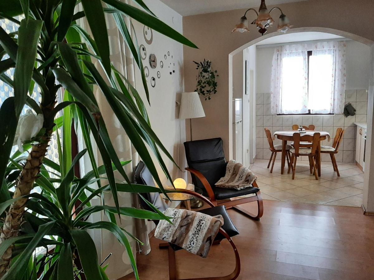 Apartment Zora - Guest House Ogulin Eksteriør billede