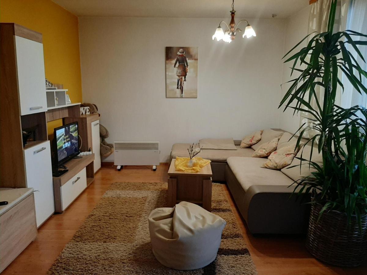 Apartment Zora - Guest House Ogulin Eksteriør billede