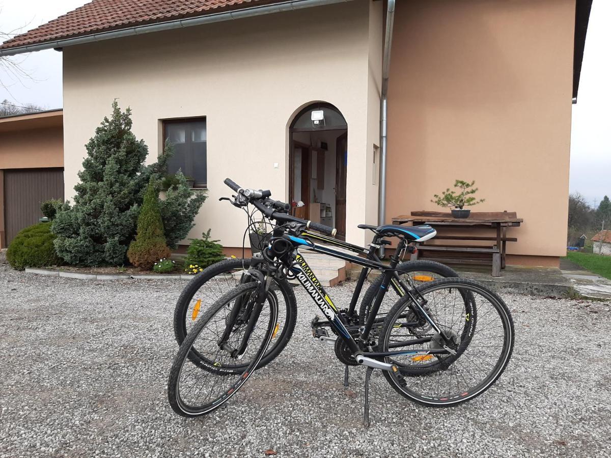 Apartment Zora - Guest House Ogulin Eksteriør billede