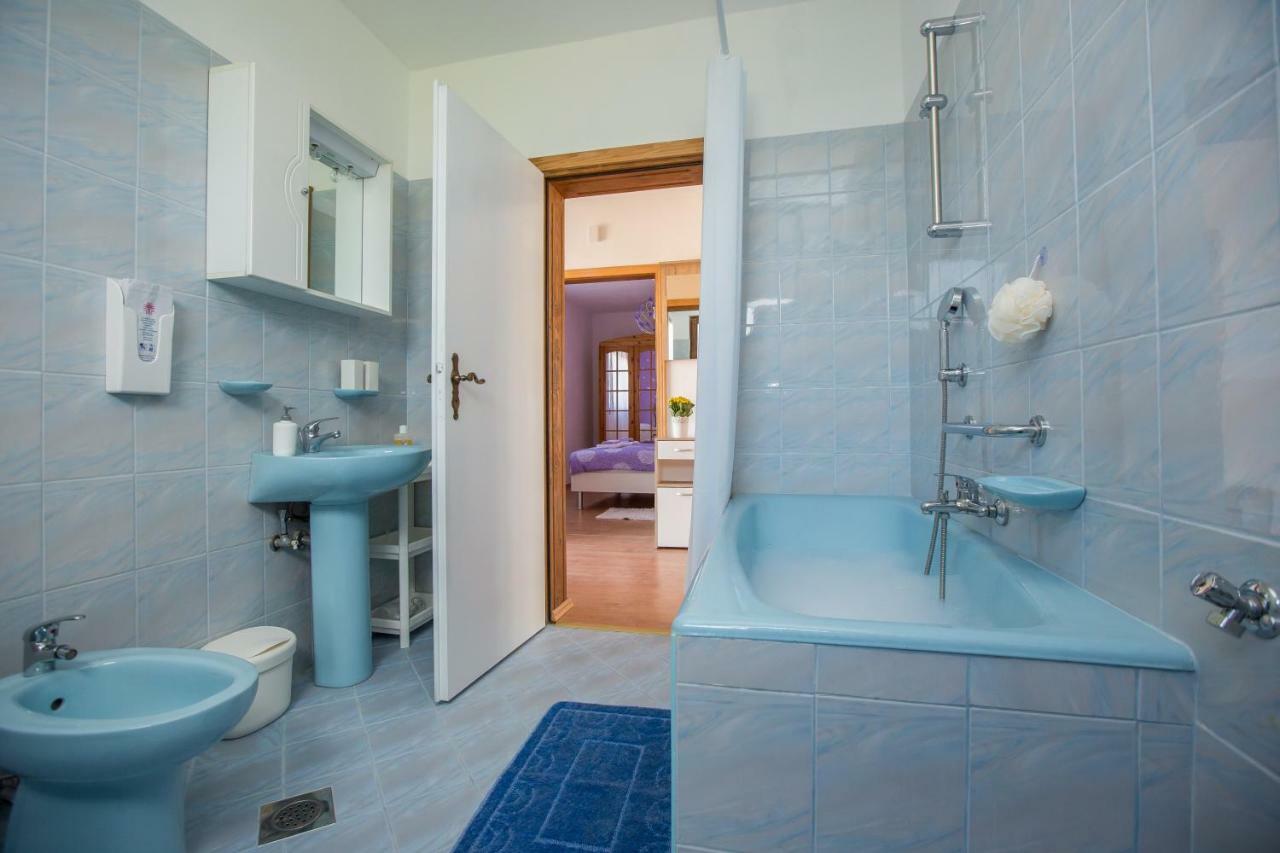 Apartment Zora - Guest House Ogulin Eksteriør billede