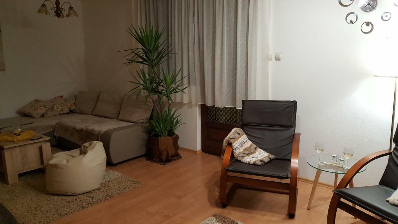 Apartment Zora - Guest House Ogulin Eksteriør billede