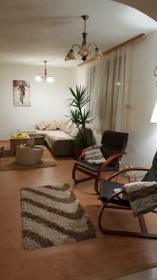 Apartment Zora - Guest House Ogulin Eksteriør billede