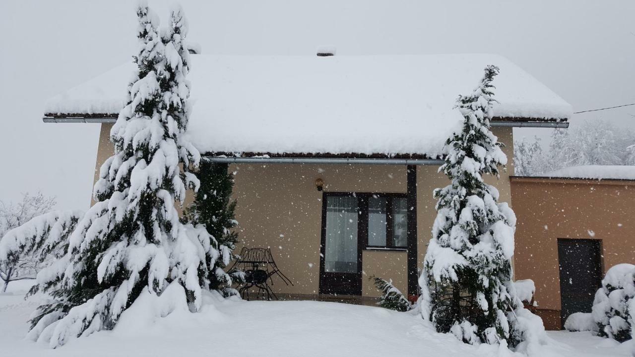 Apartment Zora - Guest House Ogulin Eksteriør billede